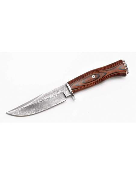 Damascus steel knife BRACO-11DAM M.