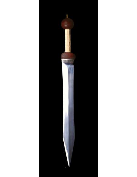 Gladius Mainz