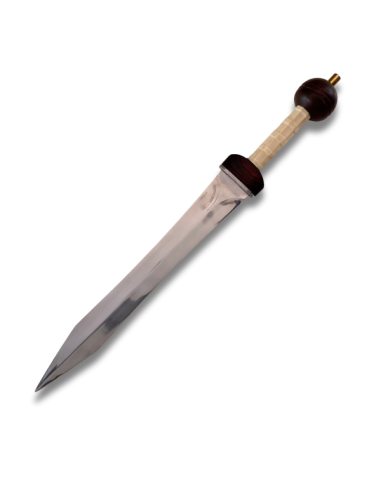 Gladius Mainz