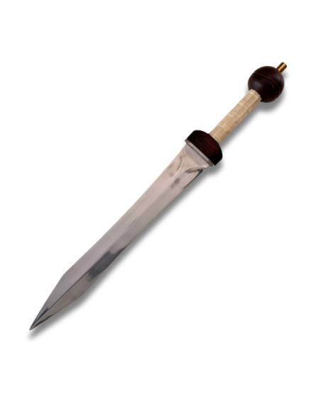 Gladius Mainz