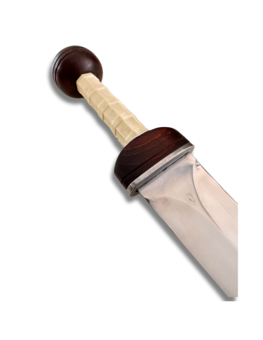 Gladius Mainz