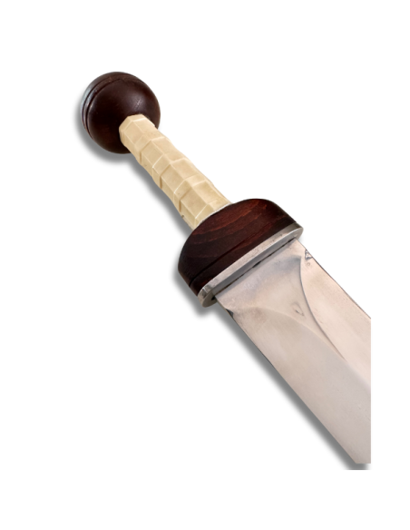 Gladius Mainz
