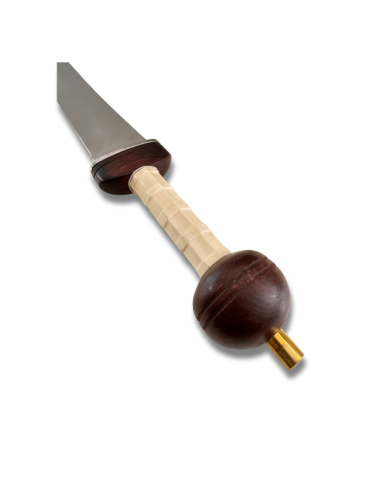Gladius Mainz