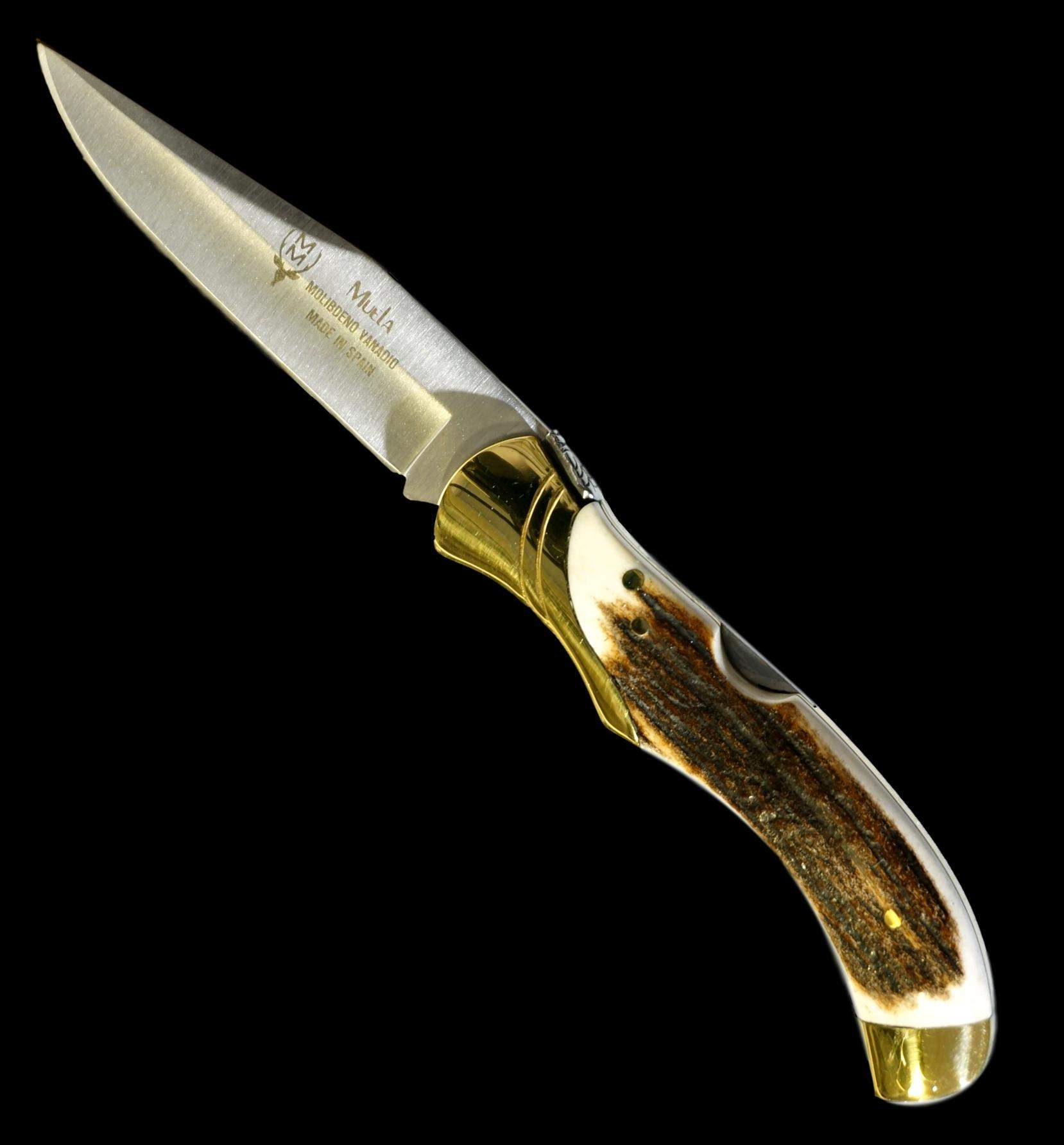 GL-10A CUERNO