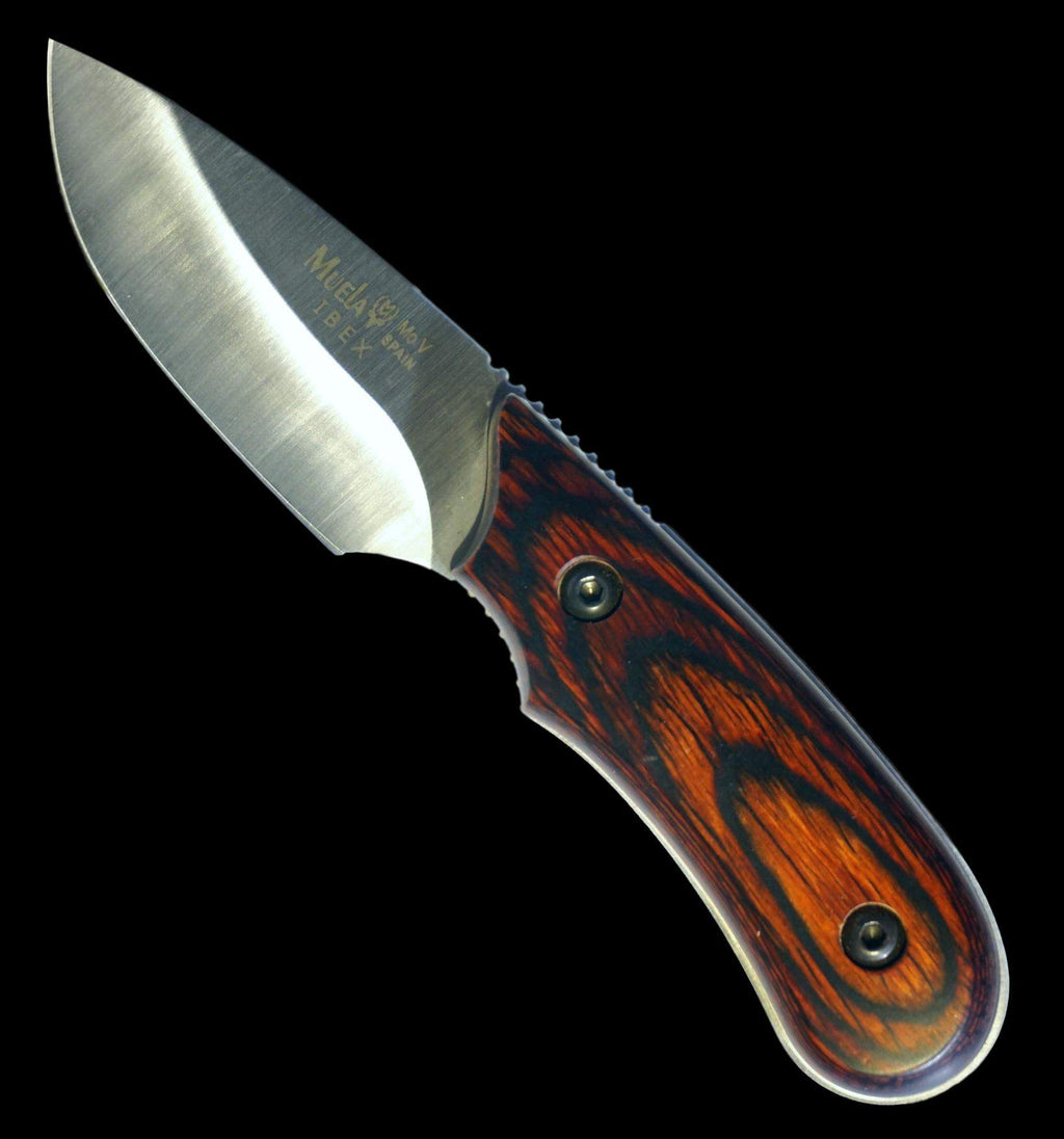 IBEX-8R