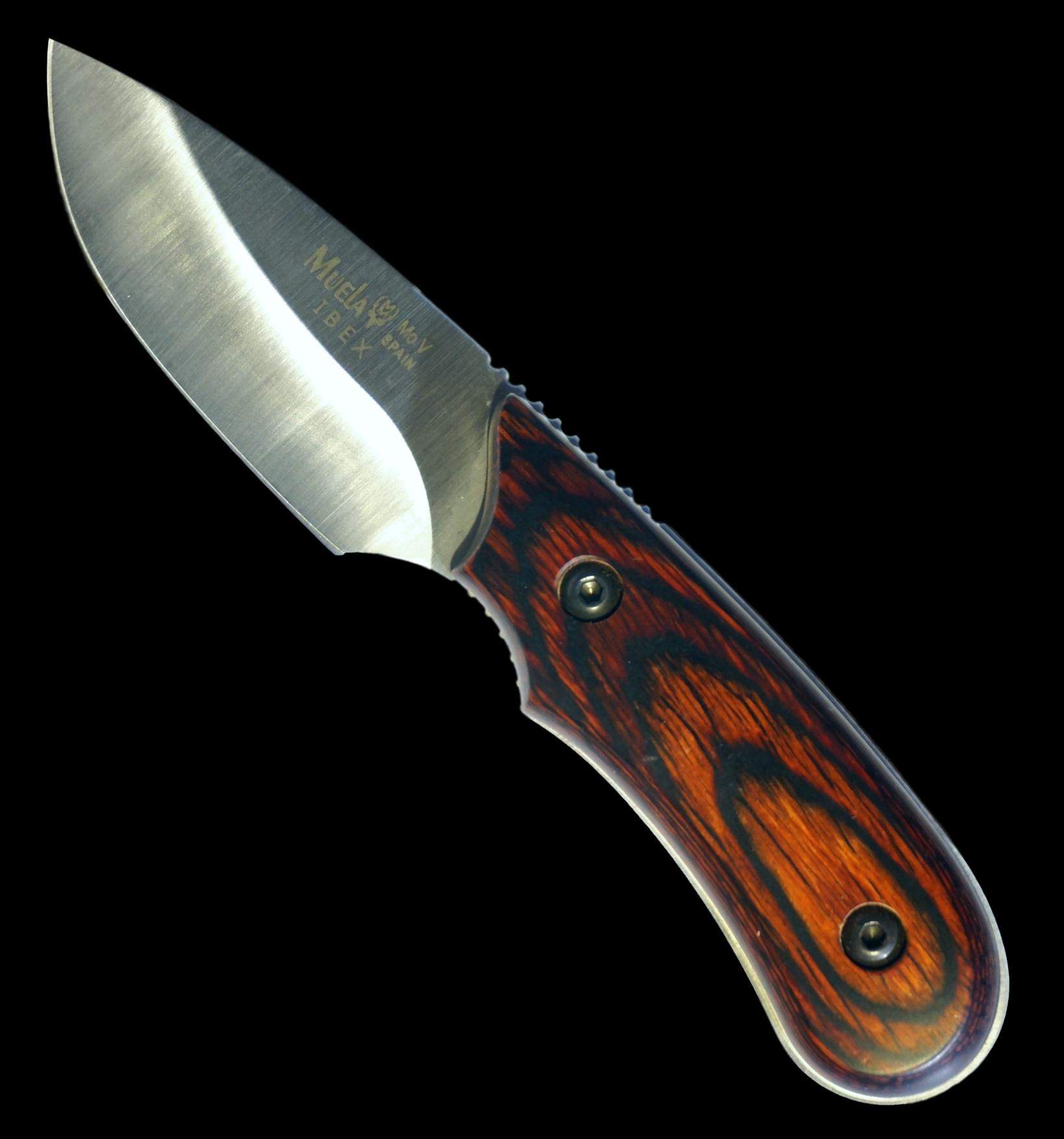 IBEX-8R