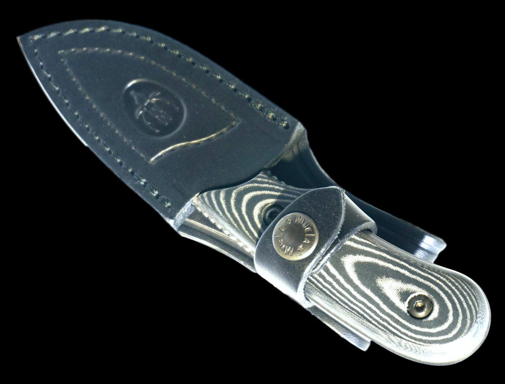 IBEX-8M