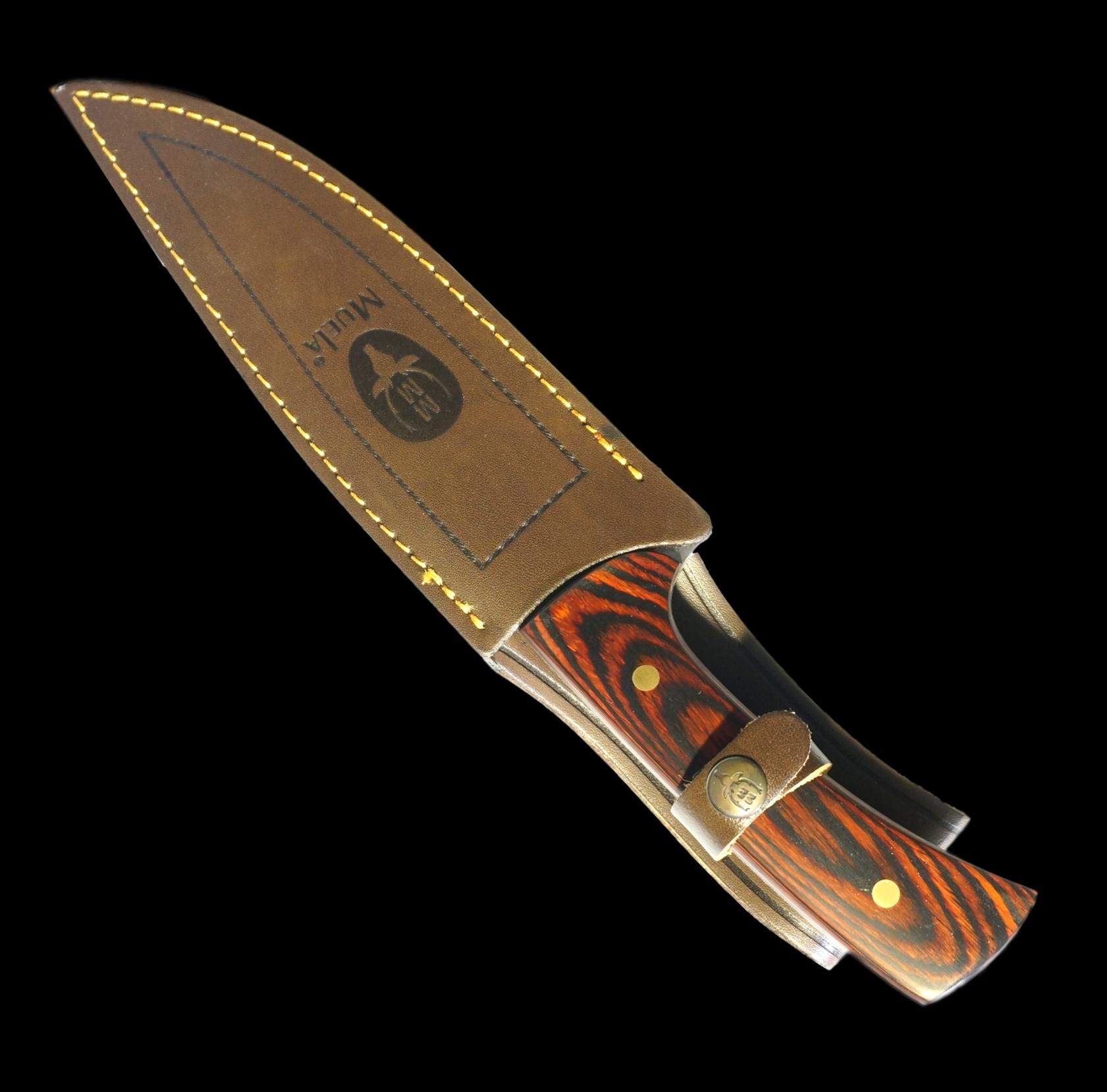 JABALI-17E